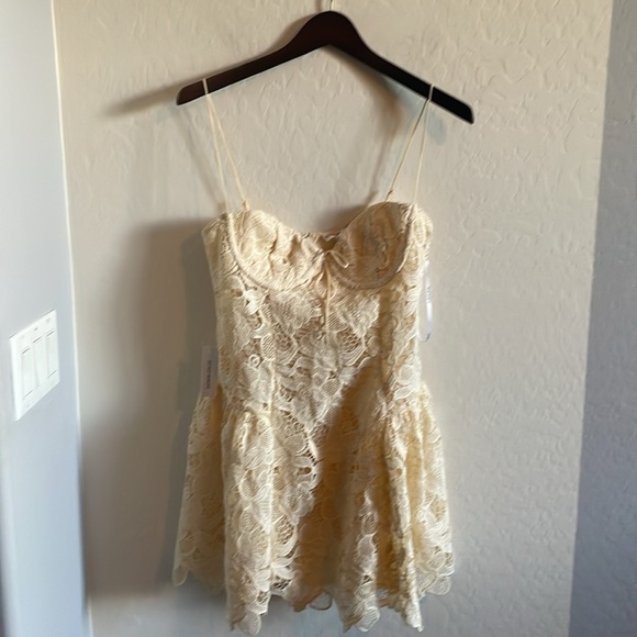 For Love & Lemons Coco Lace Mini Dress - Picture 5 of 10
